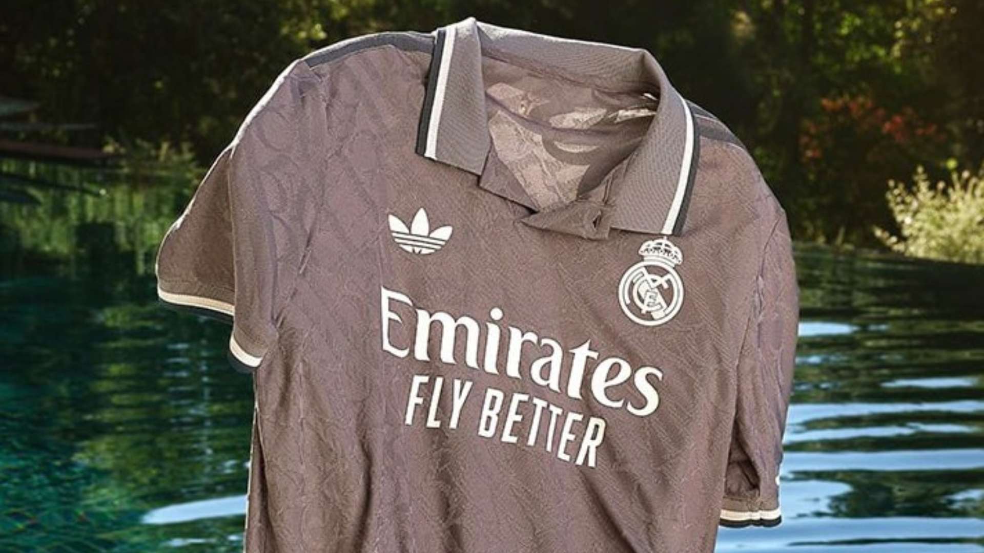 许多人赞扬 许多人赞扬