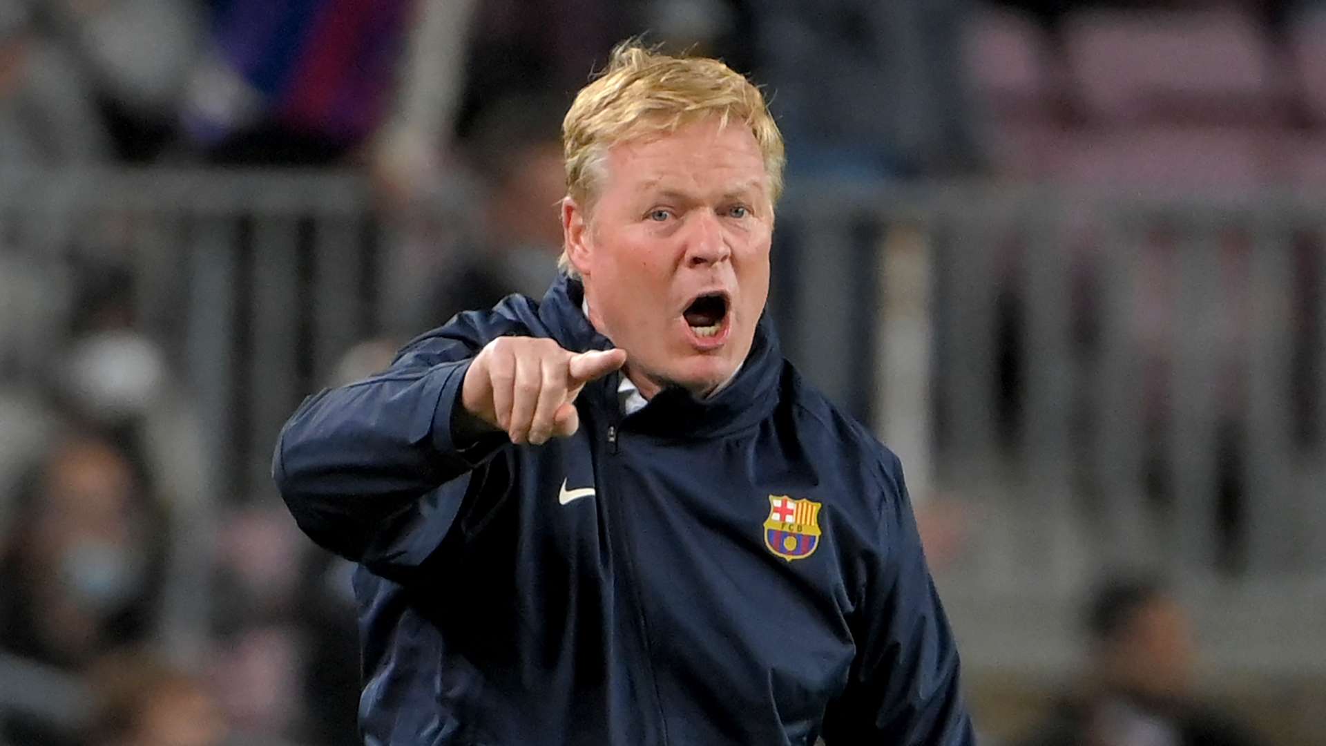 的一大看点 的一大看点